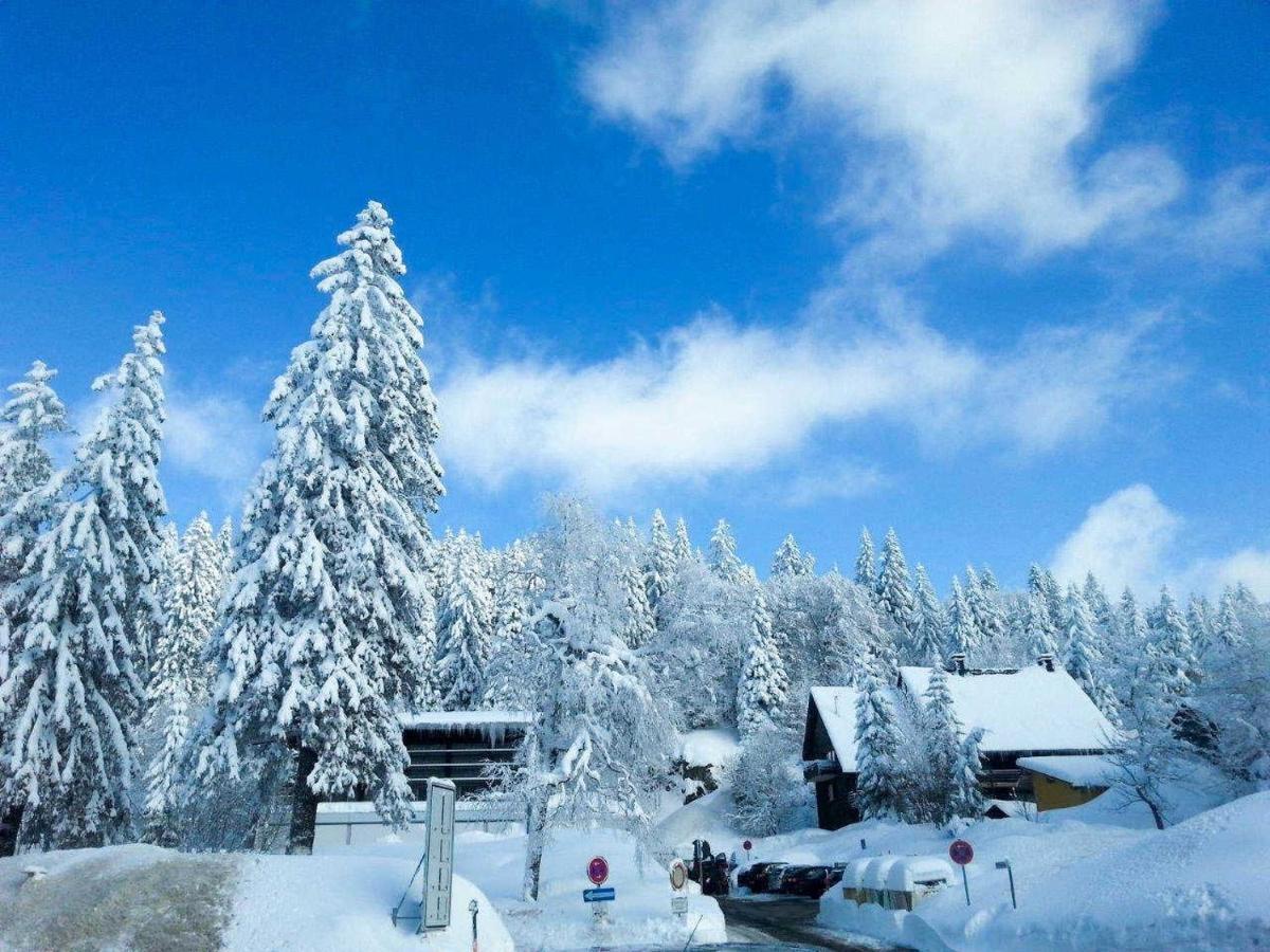 H&P Touristik Residenz Grafenmatt Gra-3-1 Apartamento Feldberg  Exterior foto