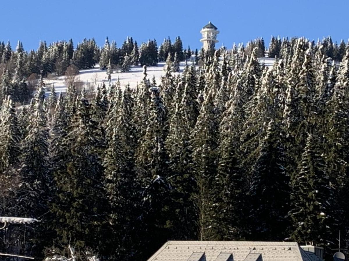 H&P Touristik Residenz Grafenmatt Gra-3-1 Apartamento Feldberg  Exterior foto